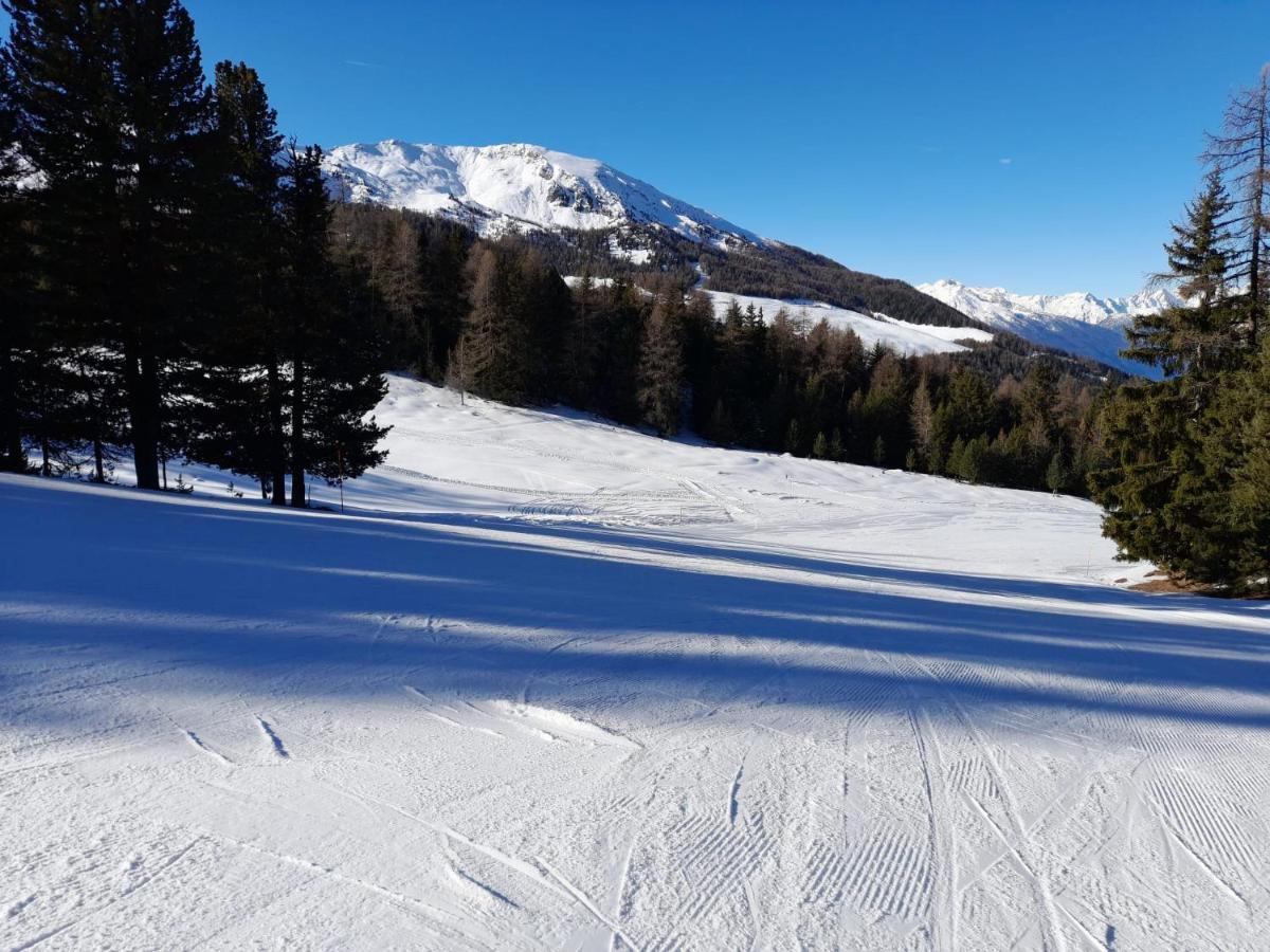 La Lupa Apartment - In The Heart Of Aosta With Car Box Екстериор снимка